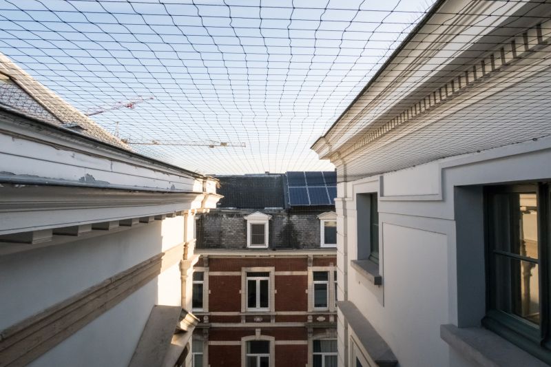 Bird Netting Service