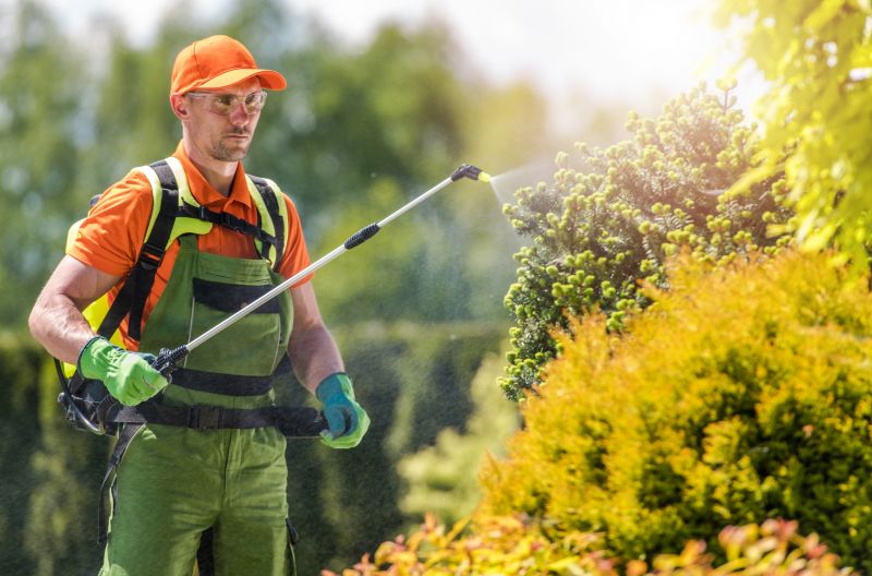 Cost of Pest Control in Dallas, TX