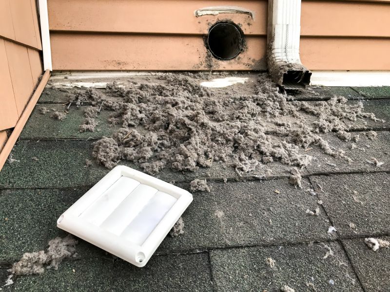 Vent Bird Removal