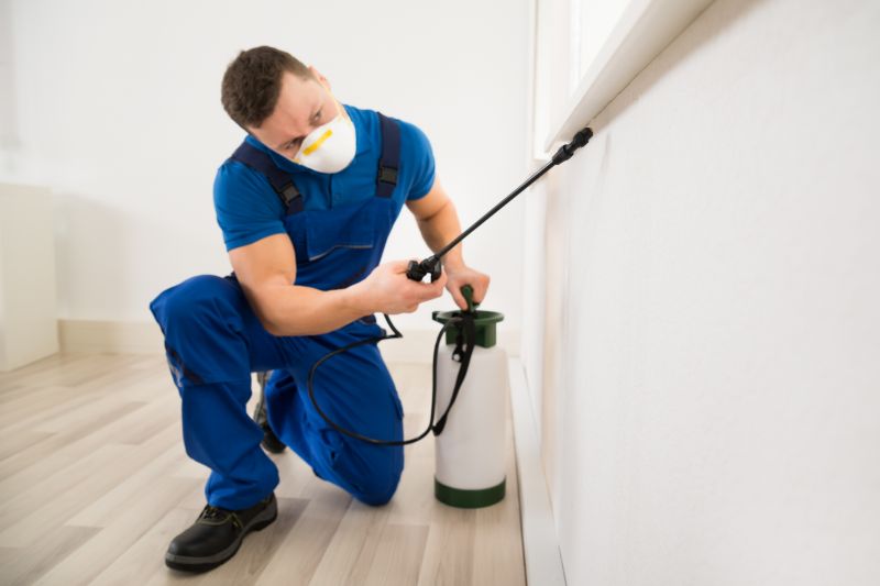 Effective Pest Treatment